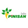 PiNISAN